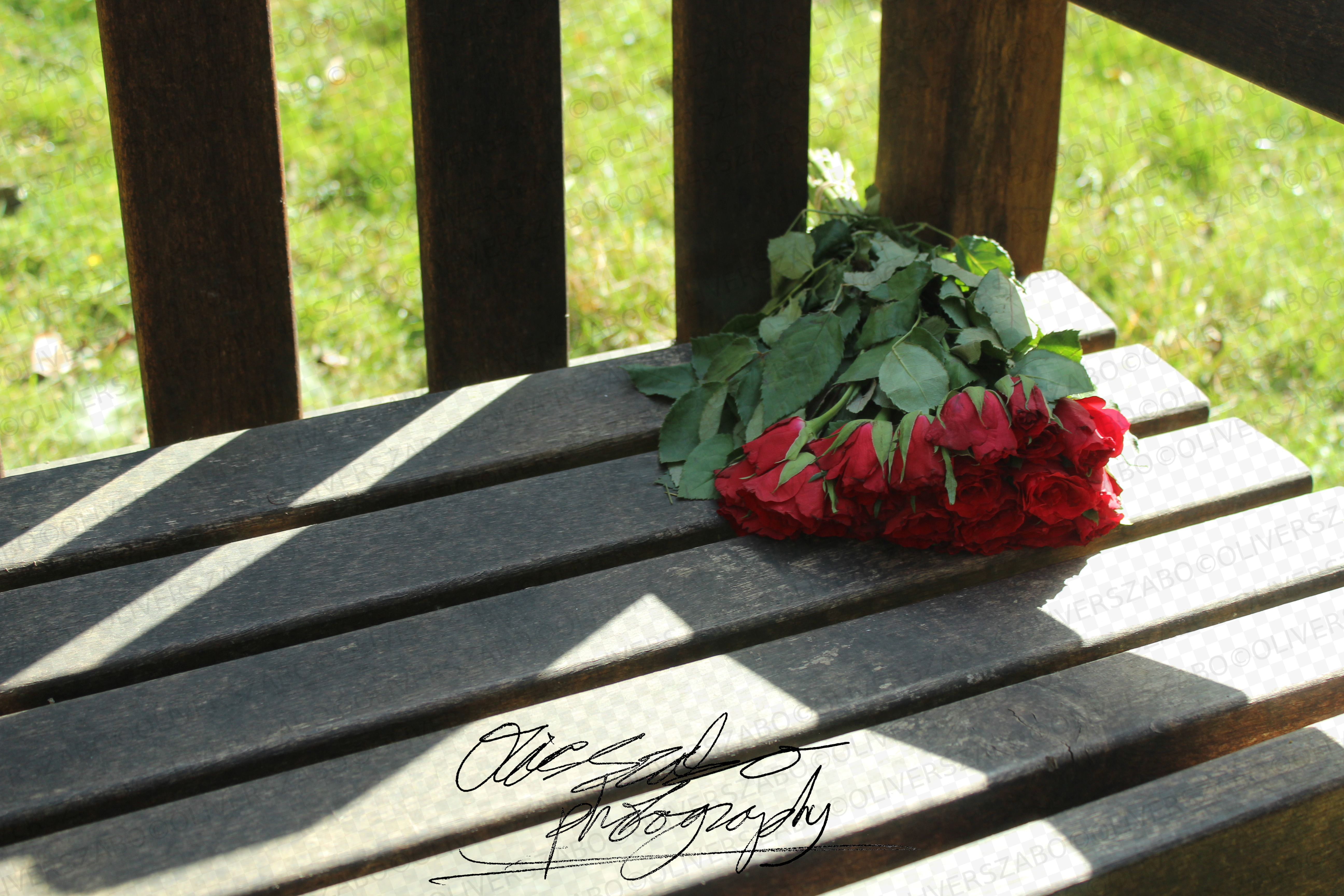 Roses On Bench
